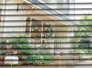 ƽO(sh)Ӌ(j)PSu׃İ~Ч