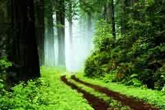 Й(qun)ƽO(sh)Ӌ(j)߼(j)Ӗ(xn)