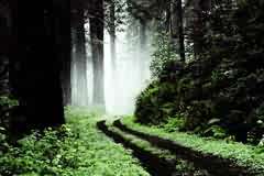 ƽO(sh)Ӌ(j)Ӗ(xn)Ƭ{(dio)(mng)ɫ{(dio)1