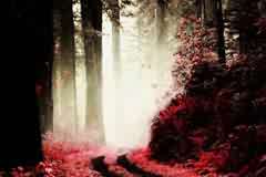 ƽO(sh)Ӌ(j)Ӗ(xn)Ƭ{(dio)(mng)ɫ{(dio)2