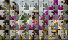 ƽO(sh)Ӌ(j)Ӗ(xn)PS挍(sh)ƴDЧ2