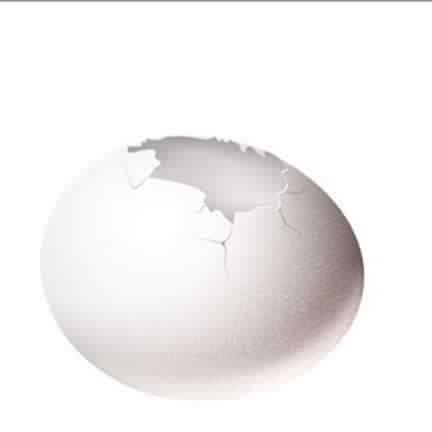 (qun)ƽO(sh)Ӌ߼Ӗ(xn)