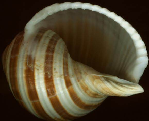 天津平面設(shè)計(jì)培訓(xùn)講解構(gòu)成1