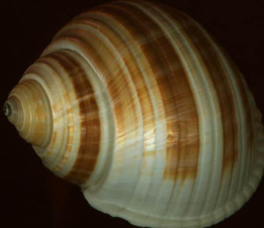 天津平面設(shè)計(jì)培訓(xùn)講解構(gòu)成