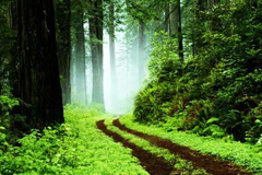 天津權(quán)威平面設(shè)計(jì)高級(jí)培訓(xùn) 天津市權(quán)威平面設(shè)計(jì)高級(jí)培訓(xùn)