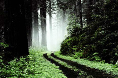 天津市天津平面設(shè)計(jì)培訓(xùn)來天津博奧教育 天津市天津平面設(shè)計(jì)培訓(xùn)來天津博奧教育