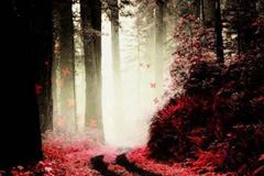 天津權威平面設計高級培訓 天津市權威平面設計高級培訓