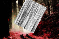 天津市最好的零基礎學平面設計的培訓機構 天津市最好的零基礎學平面設計的培訓機構